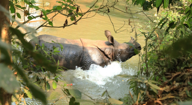 National-parkof-Nepal