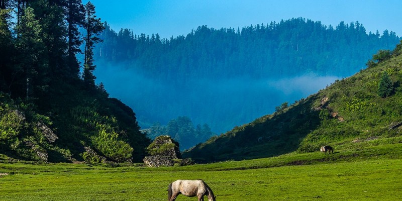 khaptad-national-park