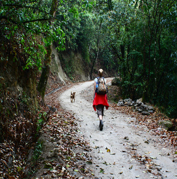 Hiking