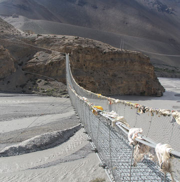 Suspension bridge