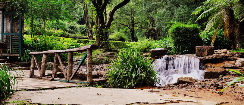 Yacca Travel and Tours