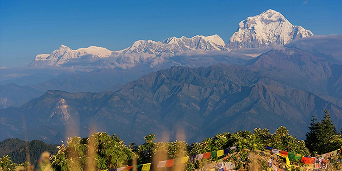 Yacca Travel and Tours