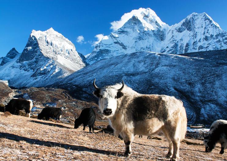 Sagarmatha national park